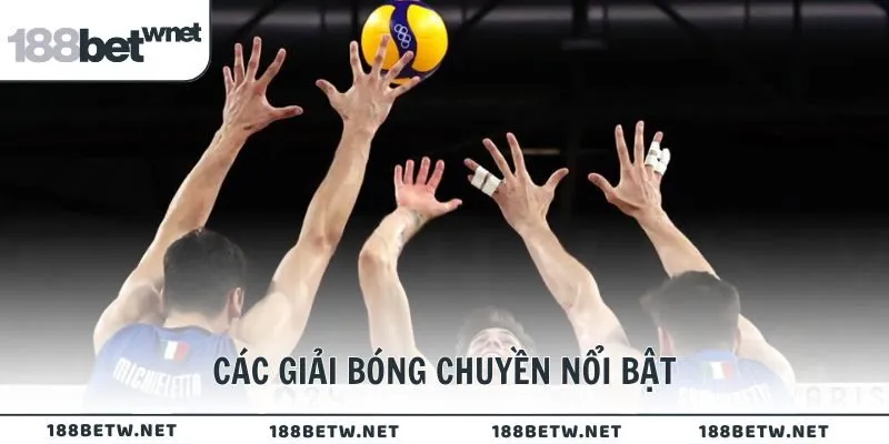 Các giải bóng chuyền nổi bật tại 188BET