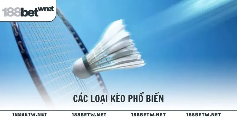 Các loại kèo phổ biến trong cá cược cầu lông