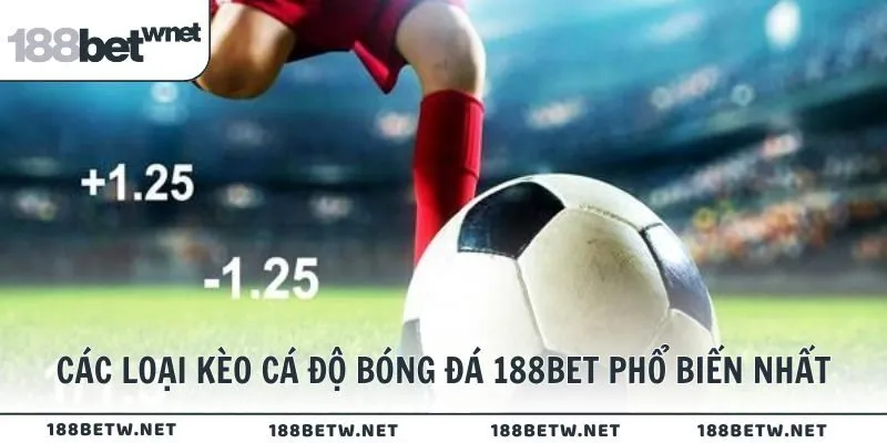Các loại kèo cá độ bóng đá 188BET phổ biến nhất