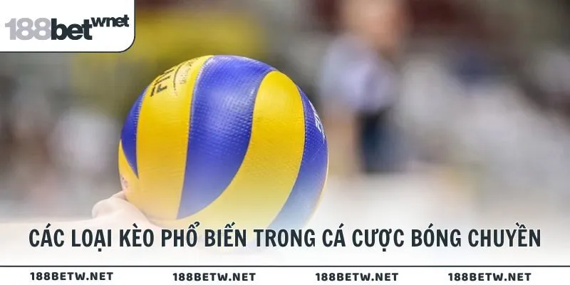 Các loại kèo phổ biến trong cá cược bóng chuyền