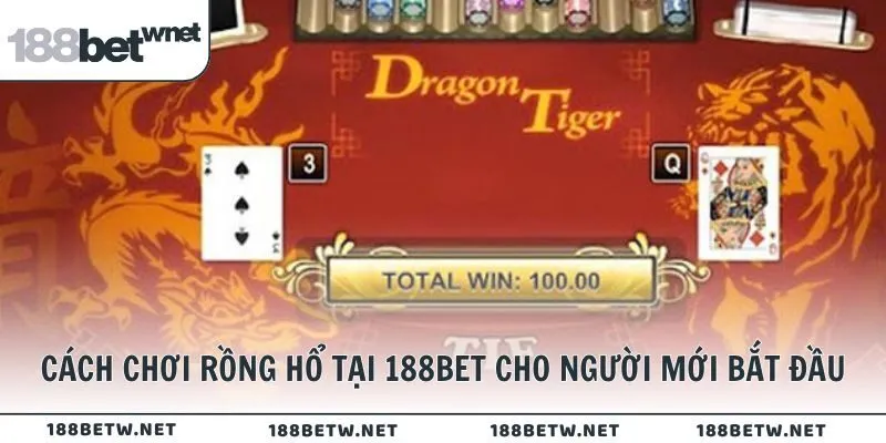 Cách chơi Rồng Hổ tại 188BET cho người mới bắt đầu