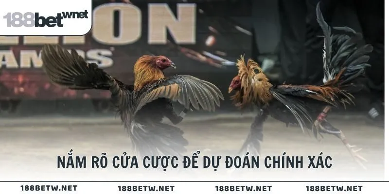 Nắm rõ cửa cược để dự đoán chính xác