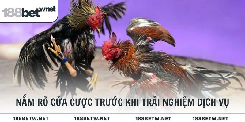 Nắm rõ cửa cược trước khi trải nghiệm dịch vụ