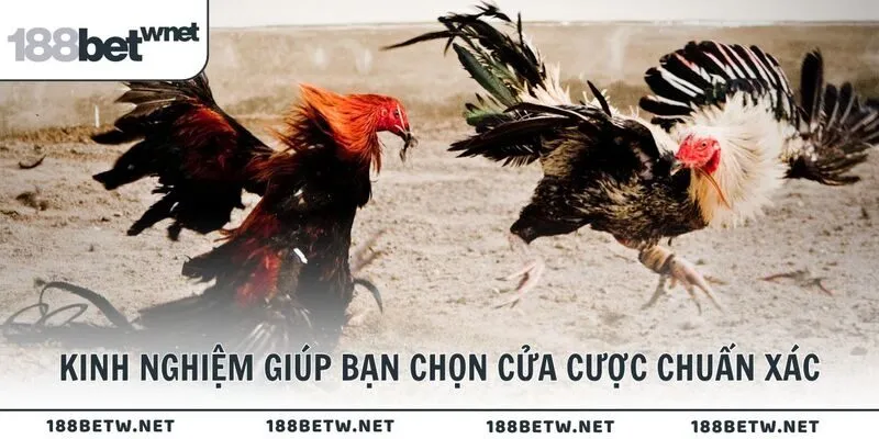 Kinh nghiệm giúp bạn chọn cửa cược chuẩn xác