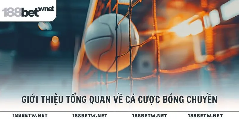 Tổng quan về cá cược bóng chuyền 188BET