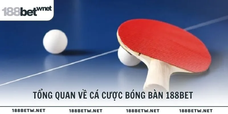 Tổng quan về cá cược bóng bàn 188BET