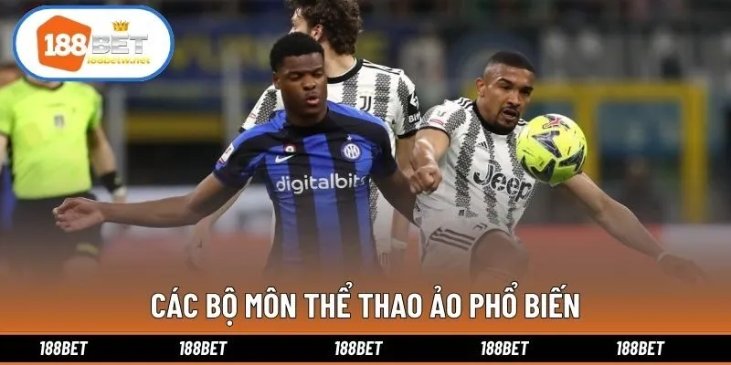 Các bộ môn thể thao ảo phổ biến