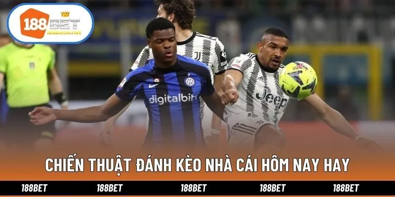 Chiến thuật đánh kèo nhà cái hôm nay hay
