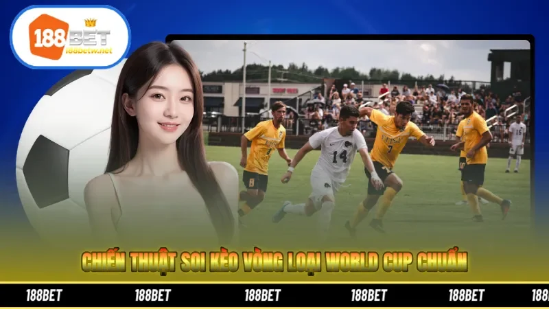 Chiến thuật soi kèo vòng loại World Cup chuẩn