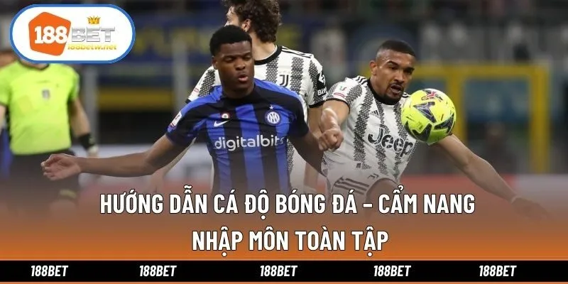 Hướng Dẫn Cá Độ Bóng Đá – Cẩm Nang Nhập Môn Toàn Tập
