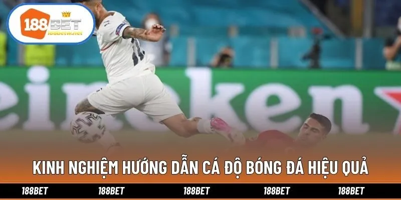 Kinh nghiệm hướng dẫn cá độ bóng đá hiệu quả