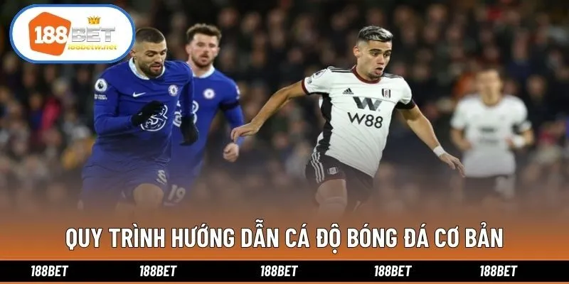 Quy trình hướng dẫn cá độ bóng đá cơ bản