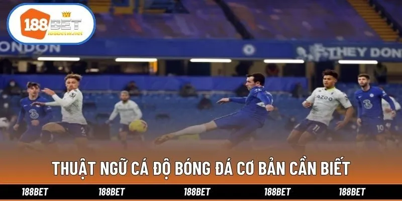 Thuật ngữ cá độ bóng đá cơ bản cần biết