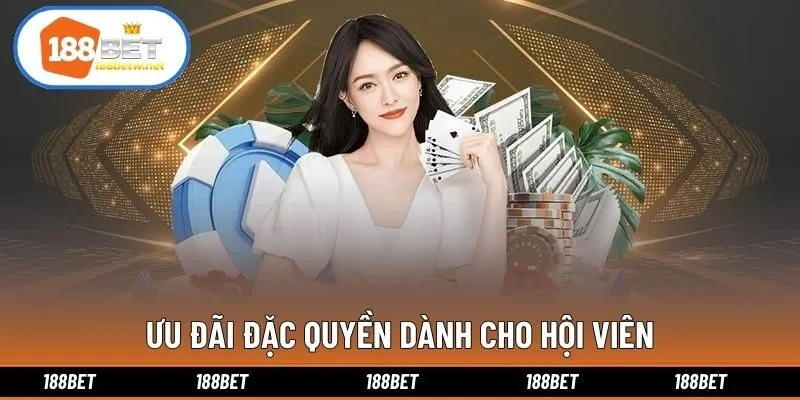 Ưu đãi đặc quyền dành cho hội viên
